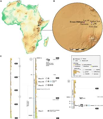 Oldowan Technology Amid Shifting Environments ∼2.03–1.83 Million Years Ago